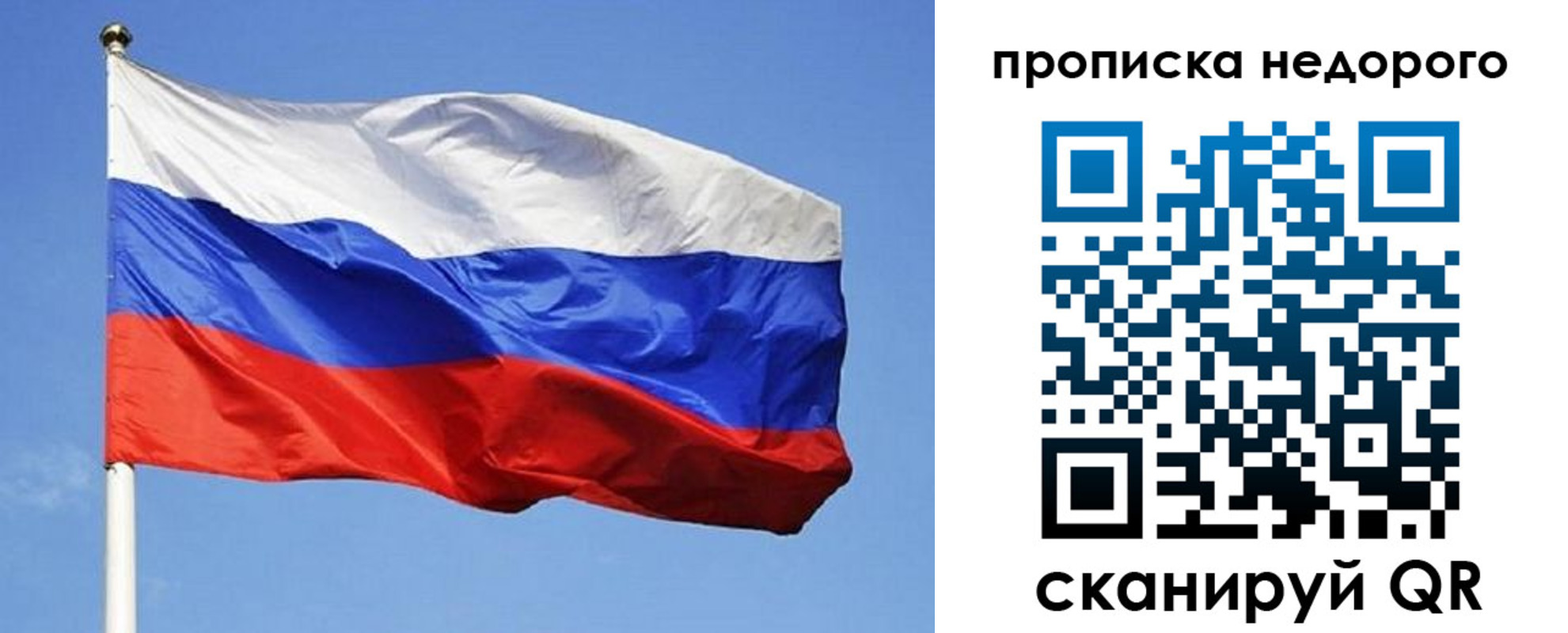 прописка для школы в Светлогорске
