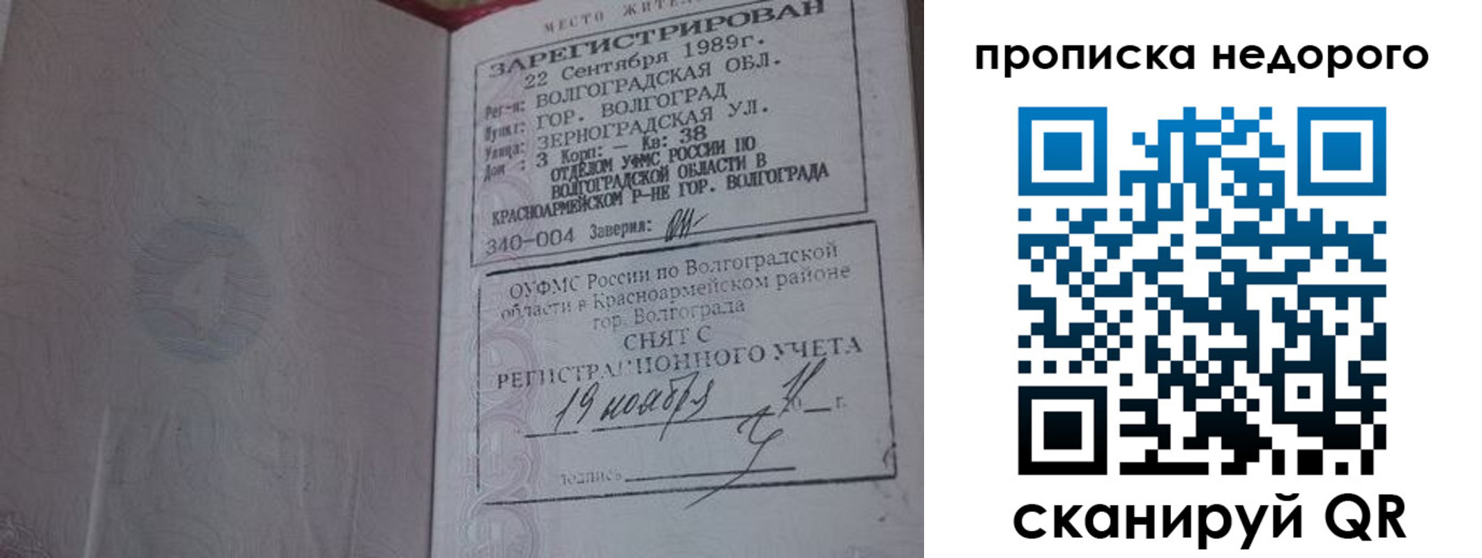 прописка гарантия в Светлогорске